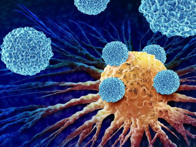 Blue immunce cells attacking a yellow cancerous one
